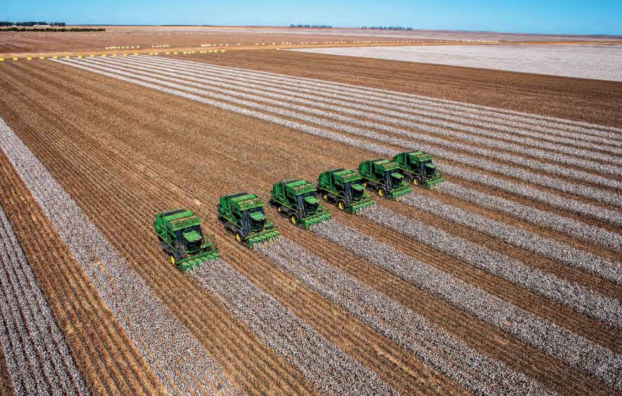 Brazil Cotton Exports and Ending Stocks Forecast at Record High